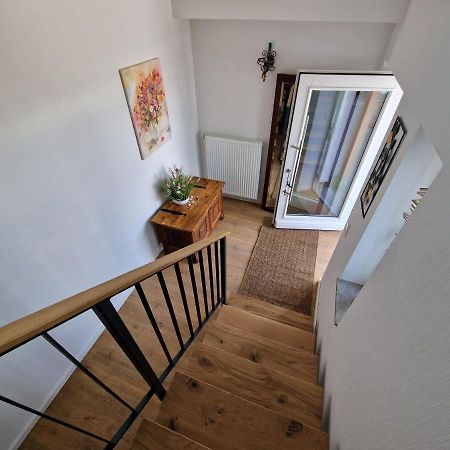 Ferienwohnung Eifeloase 尼蒂戈恩 外观 照片